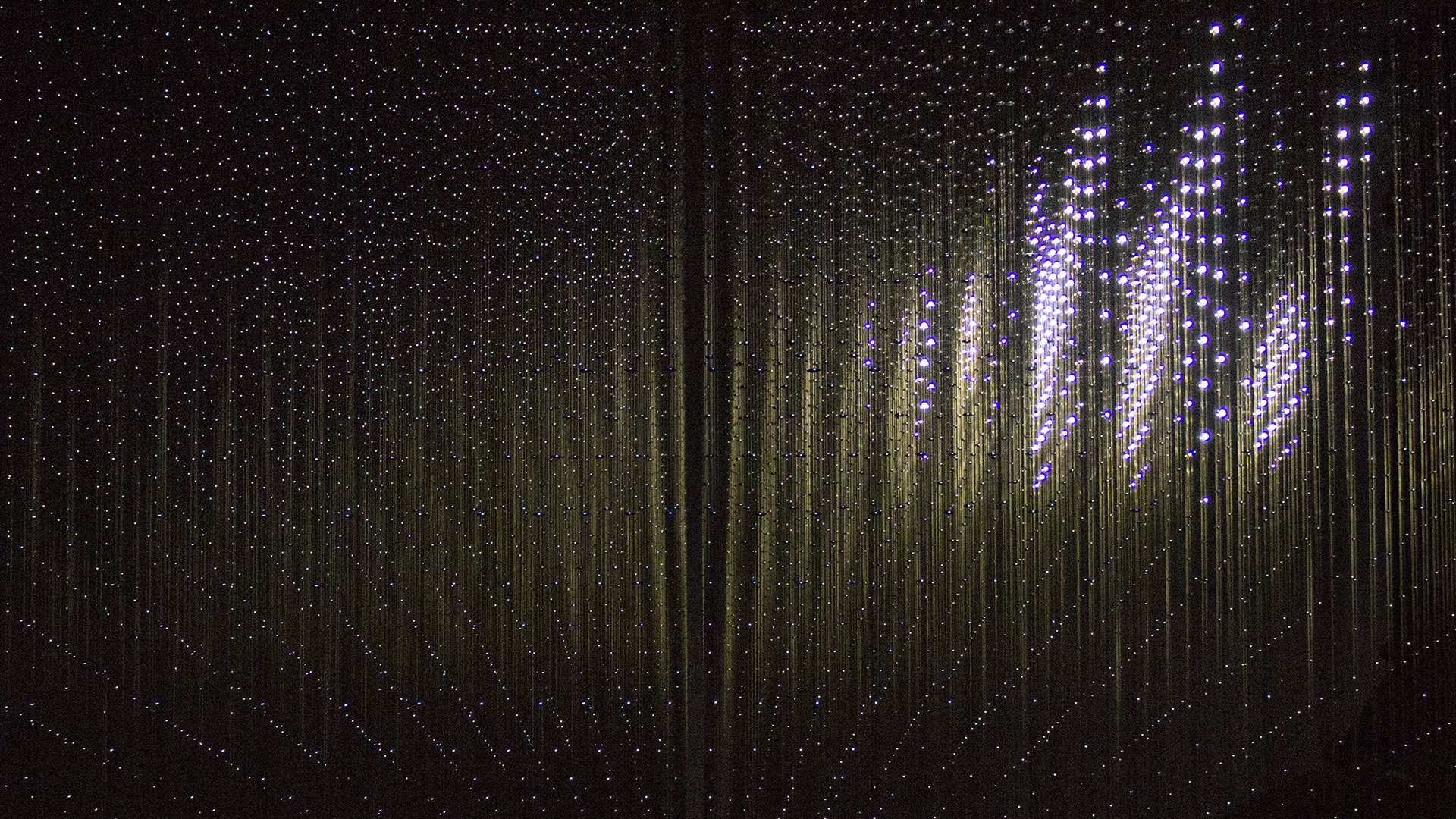 RANDOM INTERNATIONAL_SWARM Study VII_04 copy